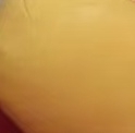 露华皮革